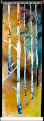 Des bouleaux aux couleurs vives