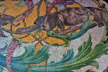Sol représentant un chien de chasse