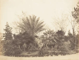 Jardin Pincian, Rome, 1853-56