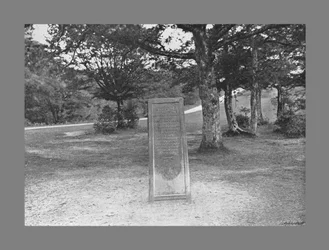 Rufus Stone, New Forest Hants, vers 1900