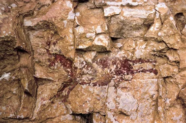 Une chèvre en course, période mésolithique, Espagne, grotte Remigia, Barranco de la Gasulla, Ares del Maestre