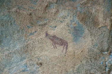 Figure animale (peinture rupestre)