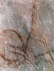 Figurine "antilope", peinture rupestre, période paléolithique (vers 40000-12000 av. J.-C.) (photo)