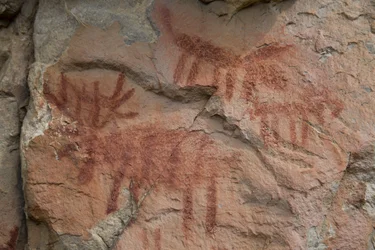 Peinture rupestre, Forêt nationale de Salmon-Challis (photo)