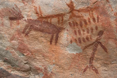 Peinture rupestre, Forêt nationale de Salmon-Challis