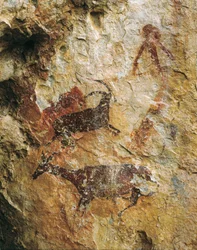 Scène de chasse avec un cerf et un bouquetin (25000-15000 av. J.-C.). Paléolithique supérieur. El Perello, grotte de La Cabra Freixet.