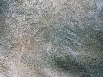 Images de silhouettes féminines et de mammouths, période paléolithique (c.40000-12000 av. J.-C.) (photo)