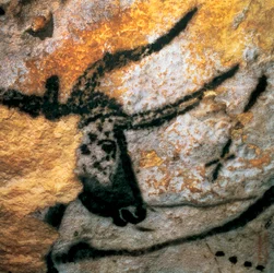 Peinture pariétale représentant un aurochs (bovidé éteint), salle des Taureaux, grotte de Lascaux, Montignac, Dordogne, France, période magdalénienne paléolithique (peinture)