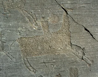 Préhistoire, civilisation des Camunni, art rupestre : roche gravée représentant un guerrier à cheval avec un bouclier. Période entre le Néolithique et l