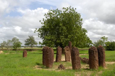 Préhistoire : cercle mégalithique de pierres de Wassu, Gambie (photo)