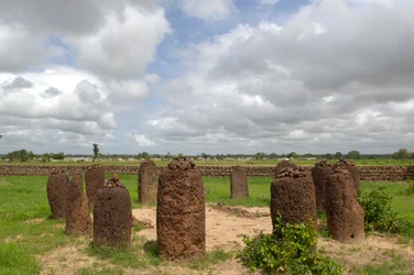 Préhistoire : cercle mégalithique de pierres de Wassu, Gambie