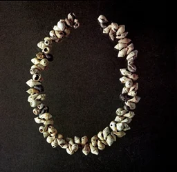 Préhistoire, âge de la pierre : collier de coquillages provenant de la grotte de Polesine, Vénétie. Néolithique moyen. Rome, Museo Nazionale Preistorico Etnografico Luigi Pigorini