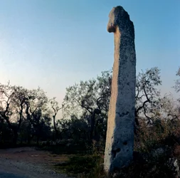 Préhistoire : Le moine. Menhir du néolithique (6000-3000 av. J.-C.). Âge de pierre. Hauteur de la pierre 370 cm. Modugno, Pouilles, Province de Bari, Italie