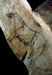 Préhistoire : un cheval, peinture rupestre de style IV, Paléolithique supérieur (Magdalénien) (entre 18 000 et 14 000 ans) Grotte de Las Monedas, Santander, Espagne