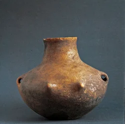 Préhistoire, culture de Rinaldone (Montefiascone) : vase en terre cuite provenant de la nécropole de Rinaldone. Âge du cuivre. Énéolithique. 2200 av. J.-C. Rome, Musée national préhistorique et ethnographique Luigi Pigorini