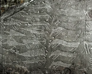 Préhistoire, art rupestre : roche funéraire de représentations de poignards, bœufs. Âge du cuivre. Période énéolithique (chalcolithique)