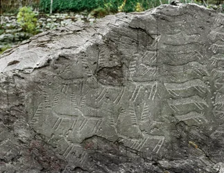 Préhistoire, art rupestre : roche funéraire avec des représentations de cerfs, bovins. Âge du cuivre. Période énéolithique (chalcolithique). Roche n. 1. Cemmo (Brescia) Parc archéologique national des Massi di Cemmo, Italie