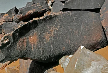 Préhistoire, art rupestre : roche gravée de la représentation de bovins. Style Tazina. Âge de pierre 5000-2000 av. J.-C. Taghit, Haut plateau du Hoggar (Ahaggar), Algérie