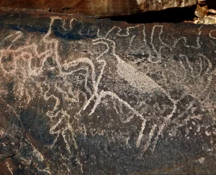 Préhistoire, art rupestre : roche funéraire de la représentation de bovins. Style Tazina