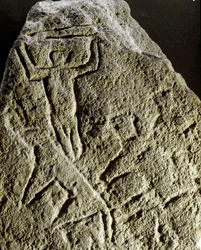 Préhistoire, art rupestre : pétroglyphe (graffiti sur pierre), gravure d