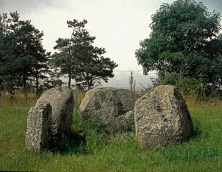 Préhistoire : tombe de l