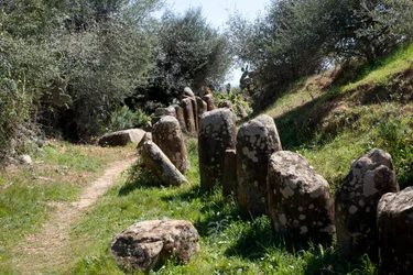 Le site archéologique du cromlech M Zora, à Sidi El Yamani (Maroc)