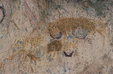 Animaux sauvages (peinture rupestre)