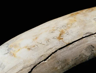 Art punique (carthaginois) : défense en ivoire avec inscription gravée