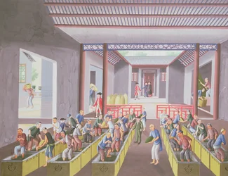 Préparation du thé, d