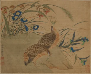 Deux cailles mangeant des sauterelles sous des fleurs