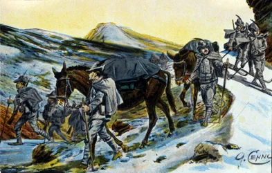 Première Guerre mondiale : groupe de chasseurs alpins italiens en reconnaissance avec leurs mules en 1915. Illustration par Quinto Cenni