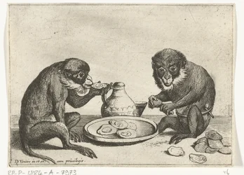 Deux singes mangeant des huîtres
