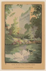 Hôtel Plaza depuis Central Park