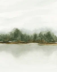 Reflet dans la forêt brumeuse