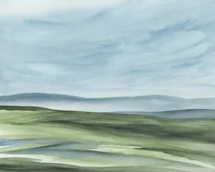 Les collines verdoyantes et sereines