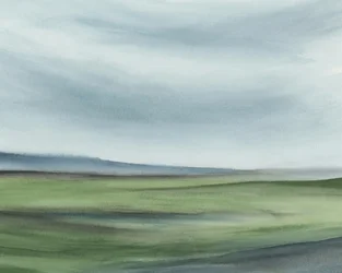 Paysage verdoyant et serein
