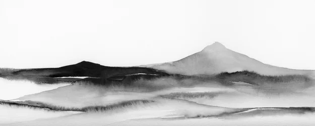 Les ombres du sommet 40 x 16