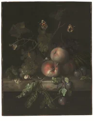 Pêches, raisins et prunes avec une libellule, un escargot, une chenille, des papillons de nuit et d