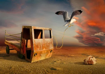Une mouette tirant un camion rouillé