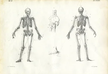 Être Humain, 1863-79