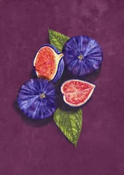 Nature morte aux figues