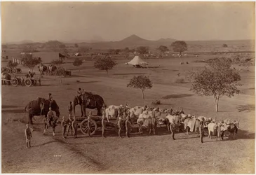 Batterie de campagne lourde, Jhansi