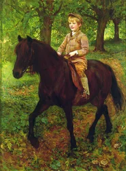 À travers les bois