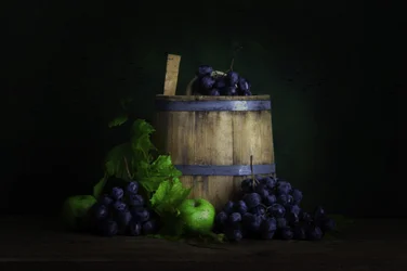 Vendanges et mise en fût