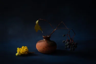Nature morte automnale paisible