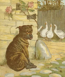 La Maison que Jack a construite, comptine cumulative. Le chien qui a inquiété le chat... Illustration de Randolph Caldecott