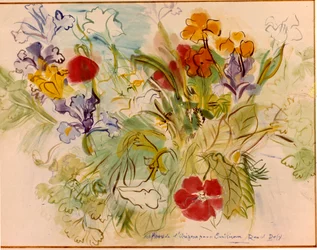 Fleurs d