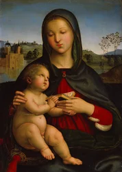 Madone et enfant avec un livre, c.1502-03
