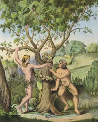 Ève présentant la pomme de l