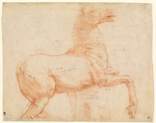 Un cheval de marbre sur la colline du Quirinal (recto), vers 1513